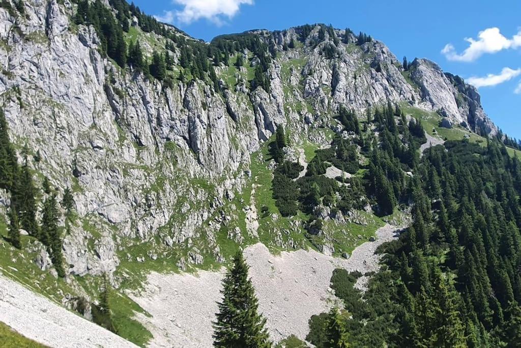 Romantisches Alpenchalet - Mit Sauna Und Kamin - Ruhig Und Zentral 바트톨즈 외부 사진